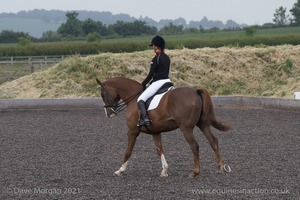 ISIS Dressage Challenge 2008